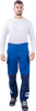 brjuki_jedvans_vasilek_sinij