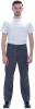 brjuki_gt_letnie_seryj_t_seryj