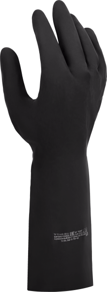 7M7A5331